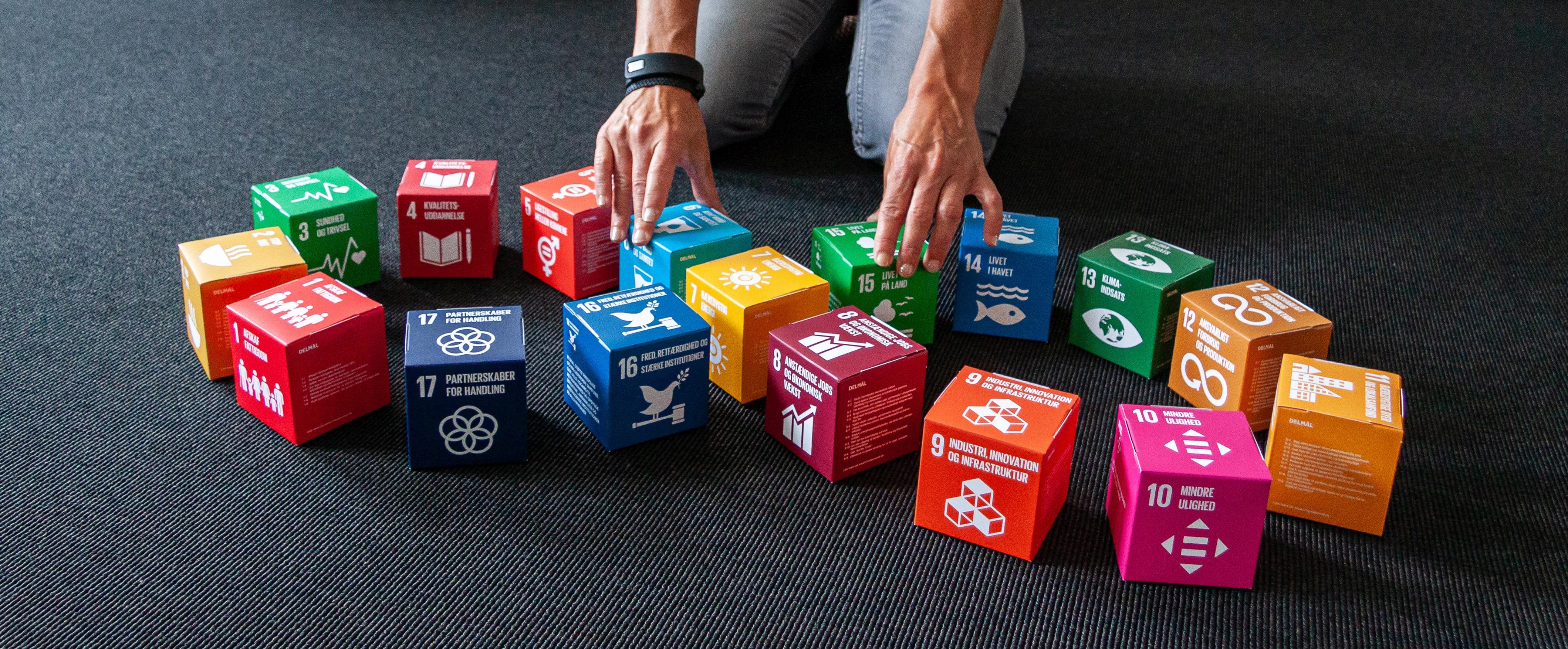 Terninger med FN's verdensmål