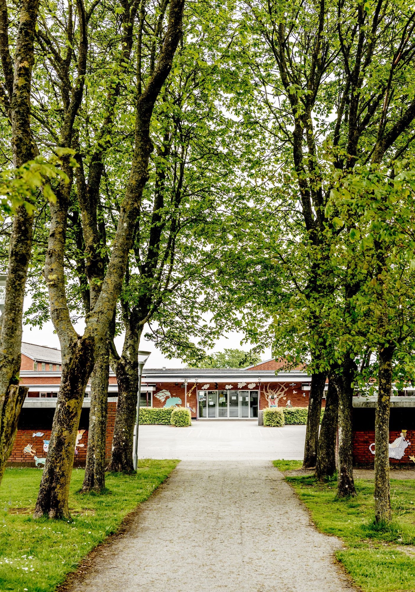 Indgang til Skovsgaard-Tranum Skole