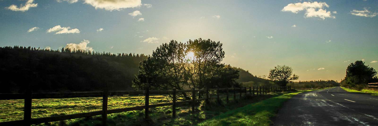 Natur og vej i solnedgang