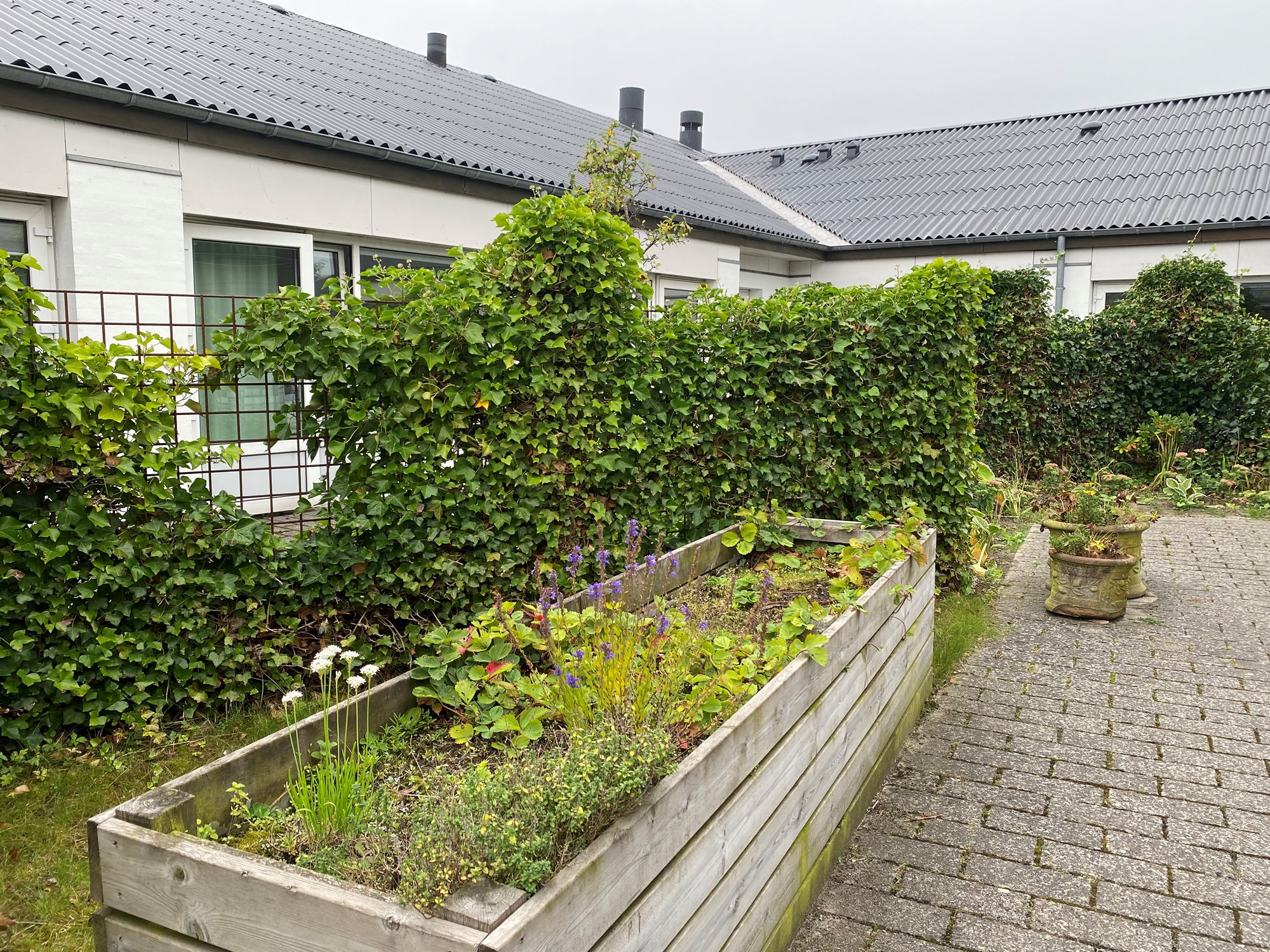 Højbed ved Plejecenter Solbakken