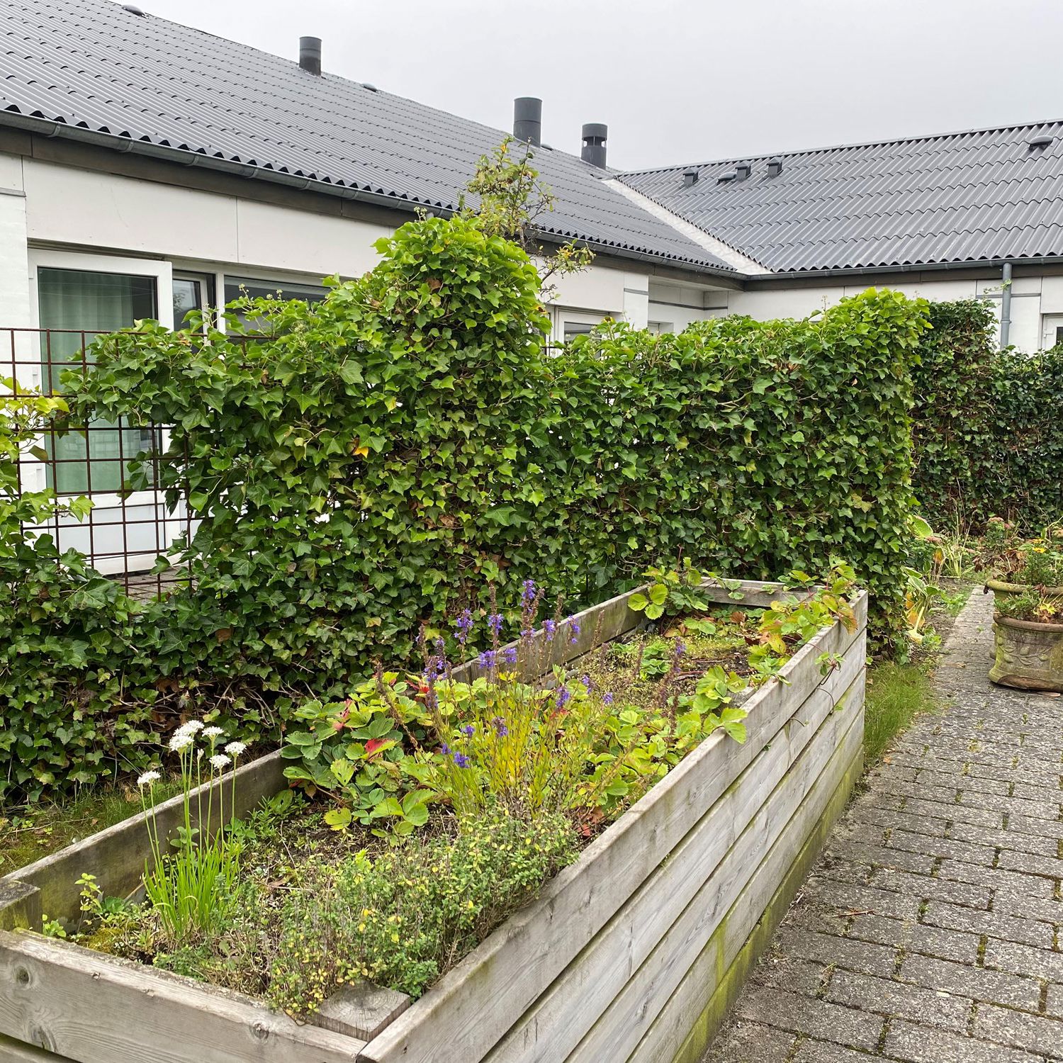 Solbakken højbede