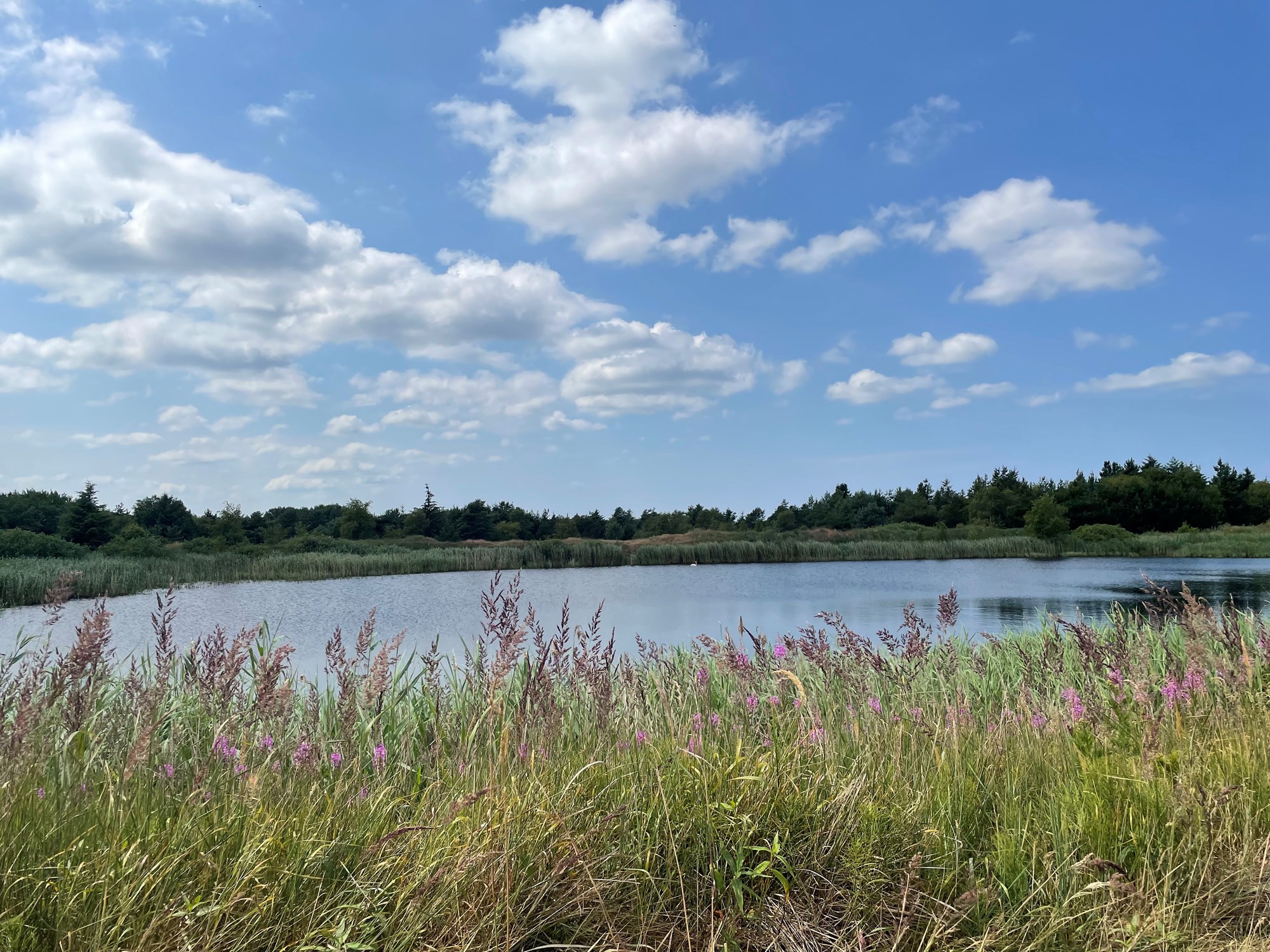 Flot udsigt over sø