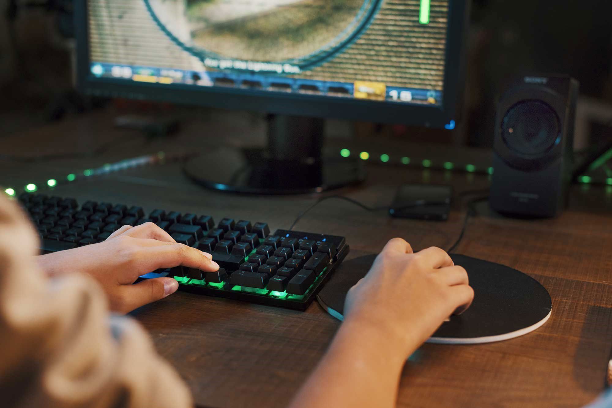Gamer ved pc