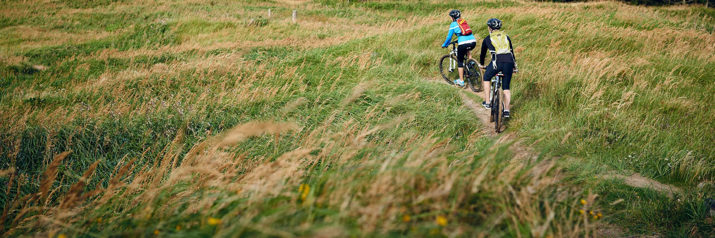 Cykeltur Niclas Jessen Cykler Natur Mountainbike