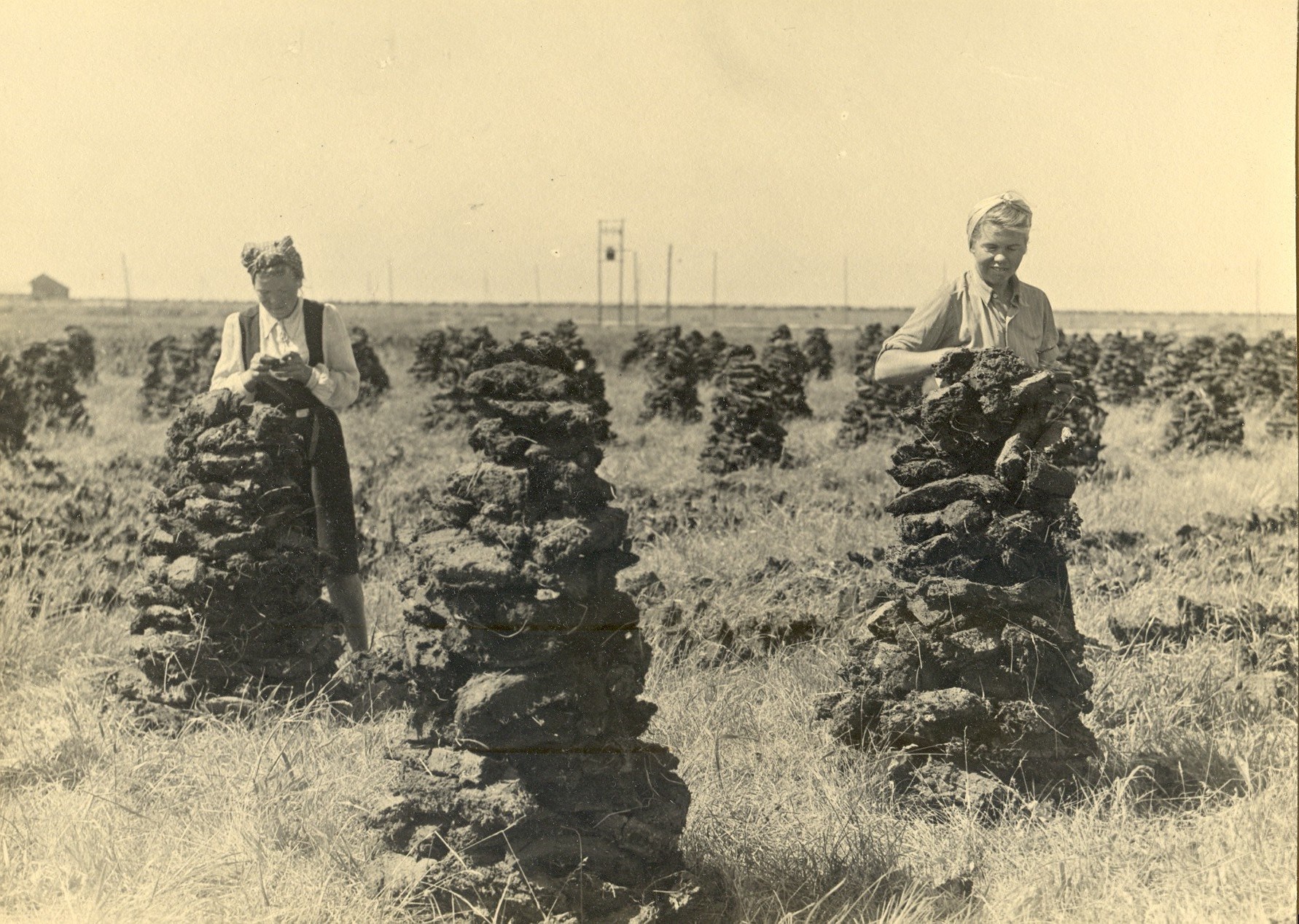 Tørvegravning i Vildmosen