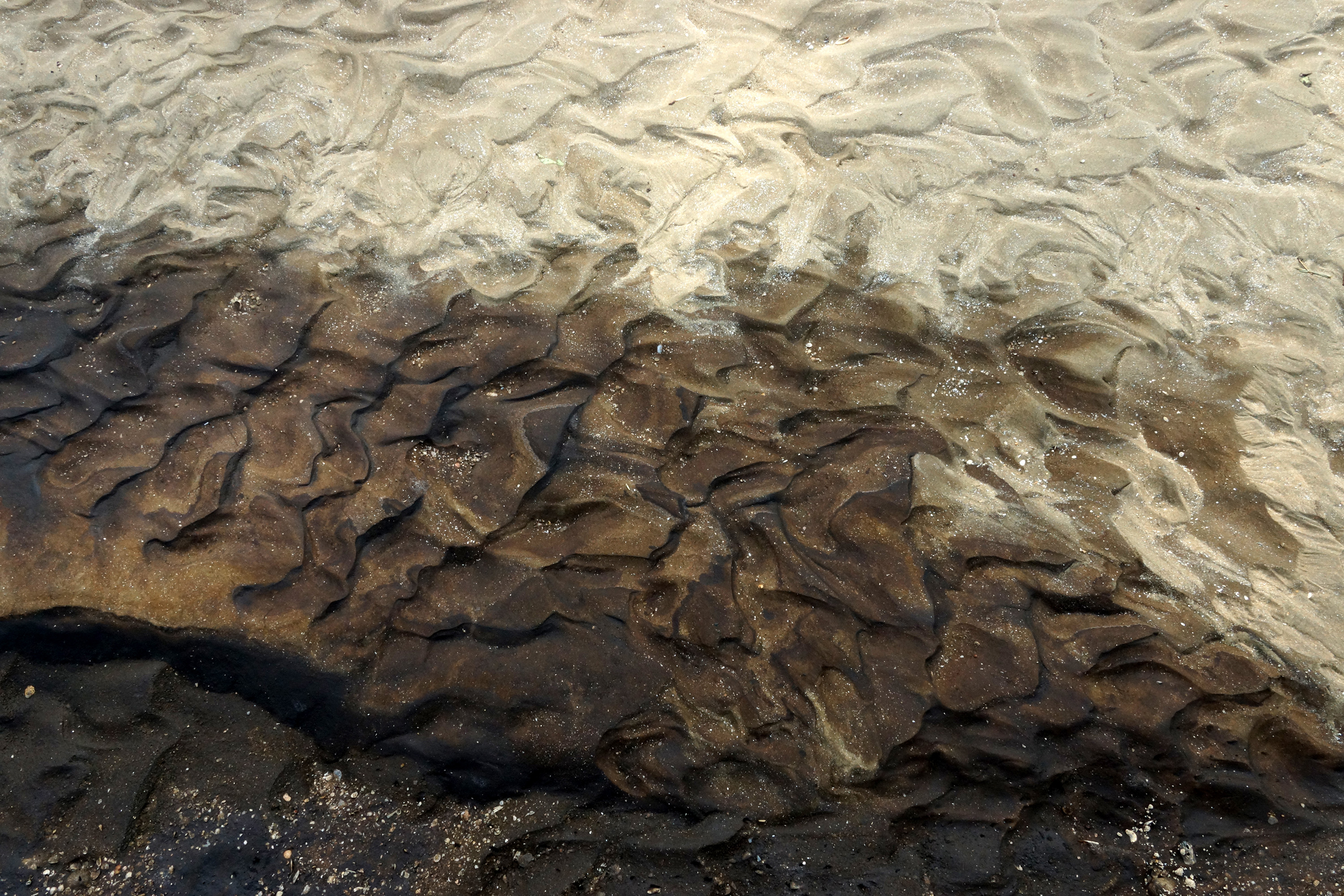 Lavvande ved stranden