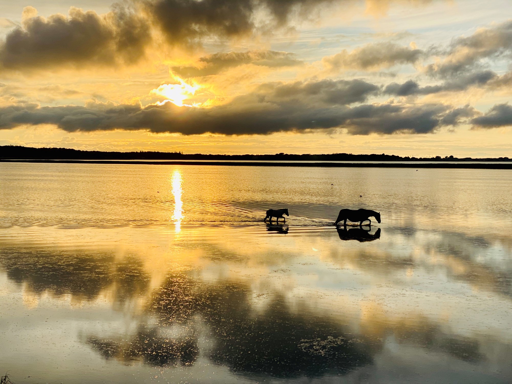 Smuk solnedgang over fjorden