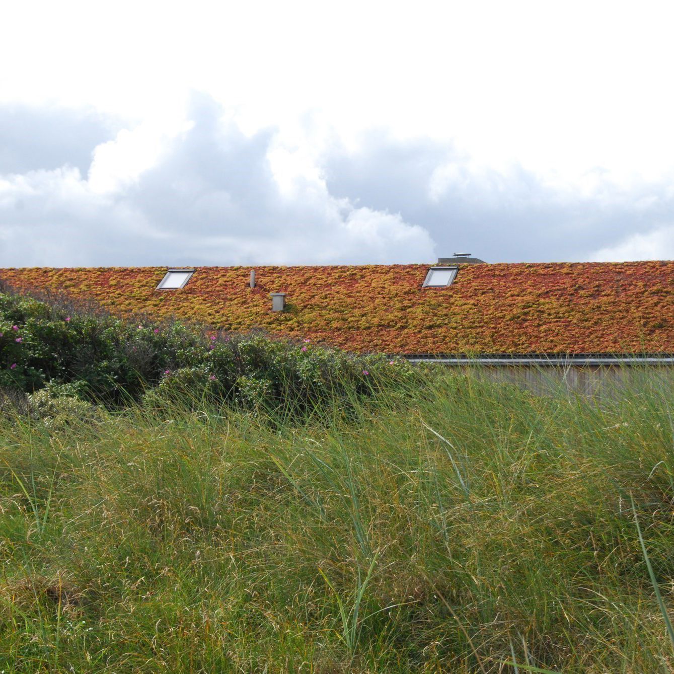 sommerhus med naturtag