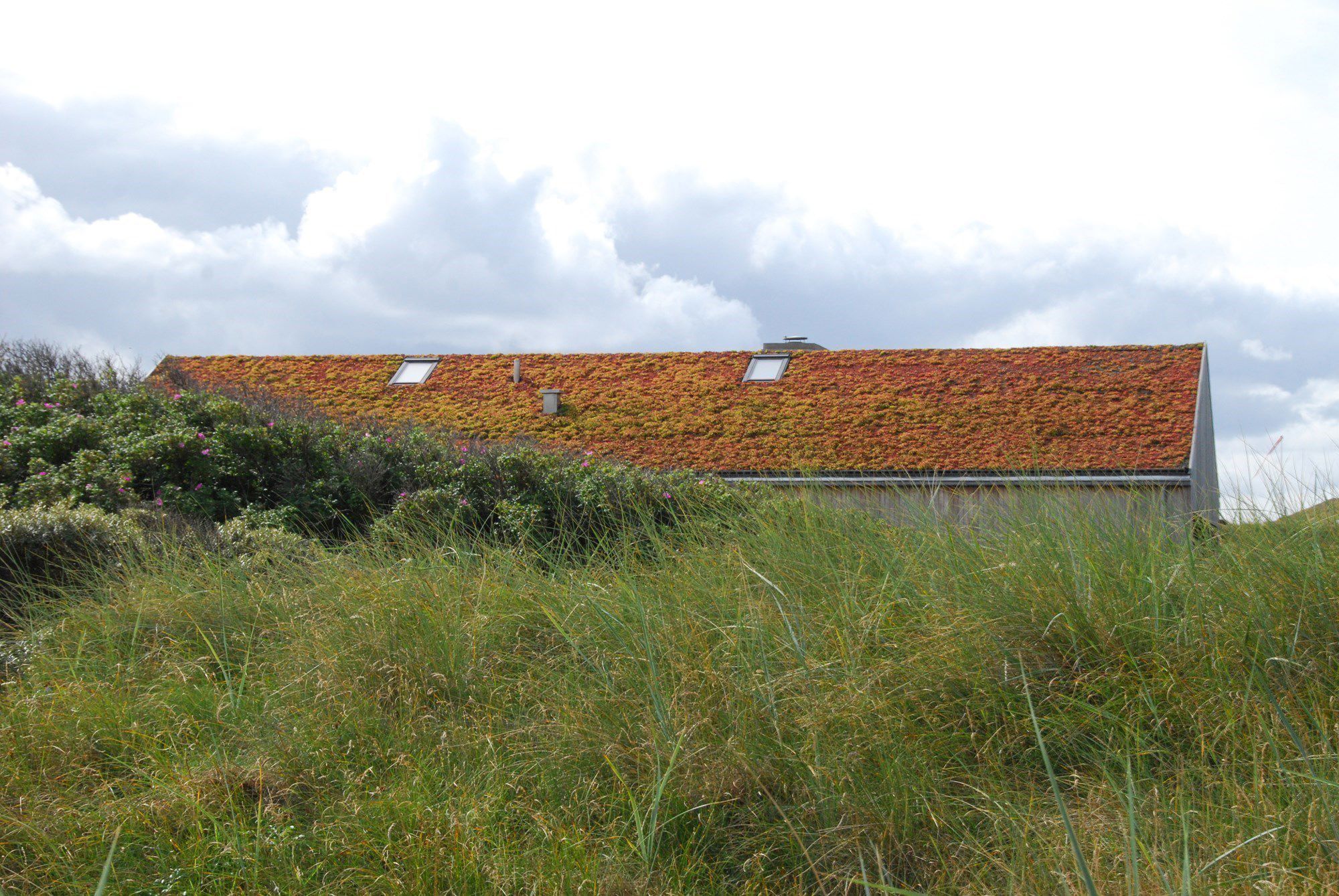 sommerhus med naturtag