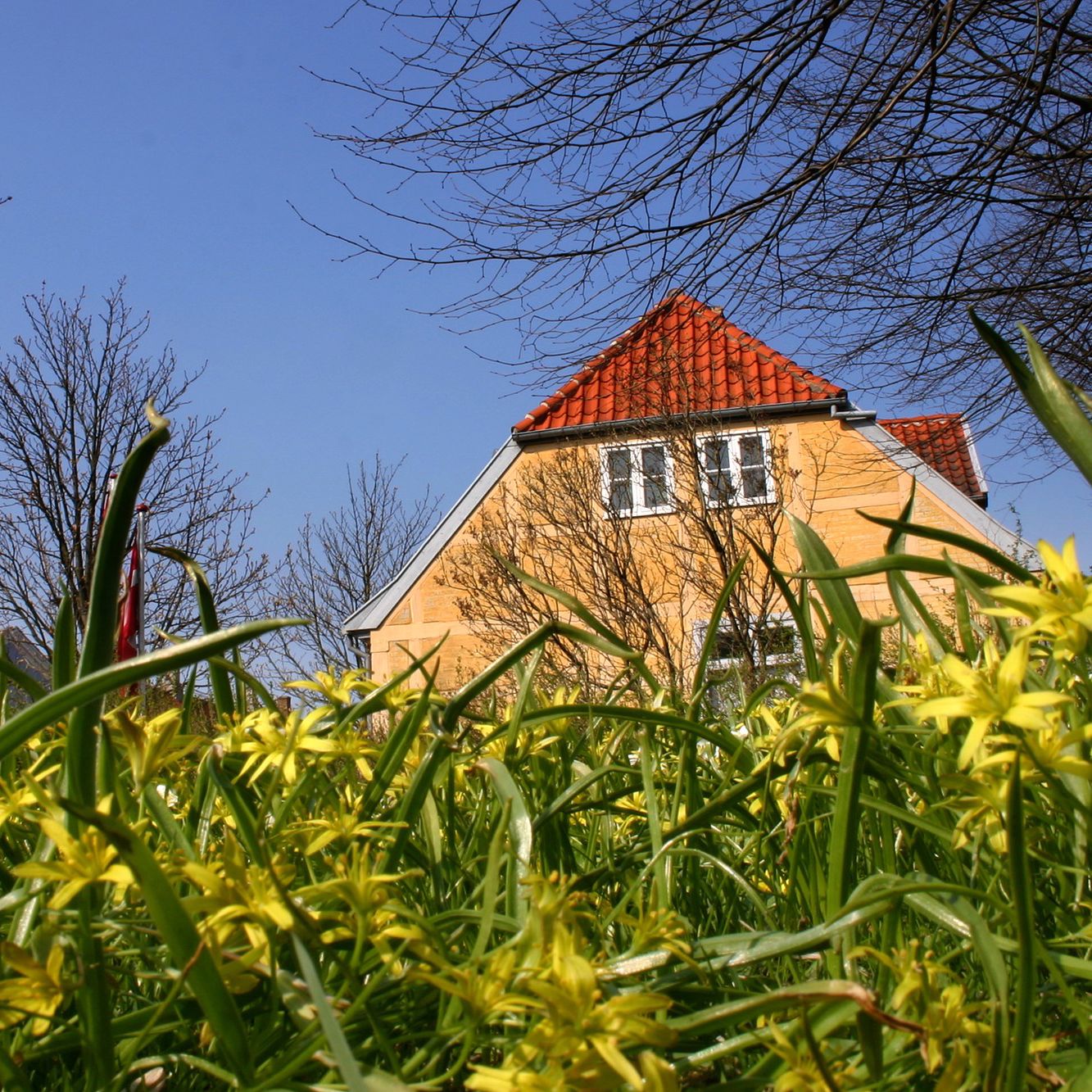 Gult hus med rødt tag mod blå himmel gule blomster i forgrund