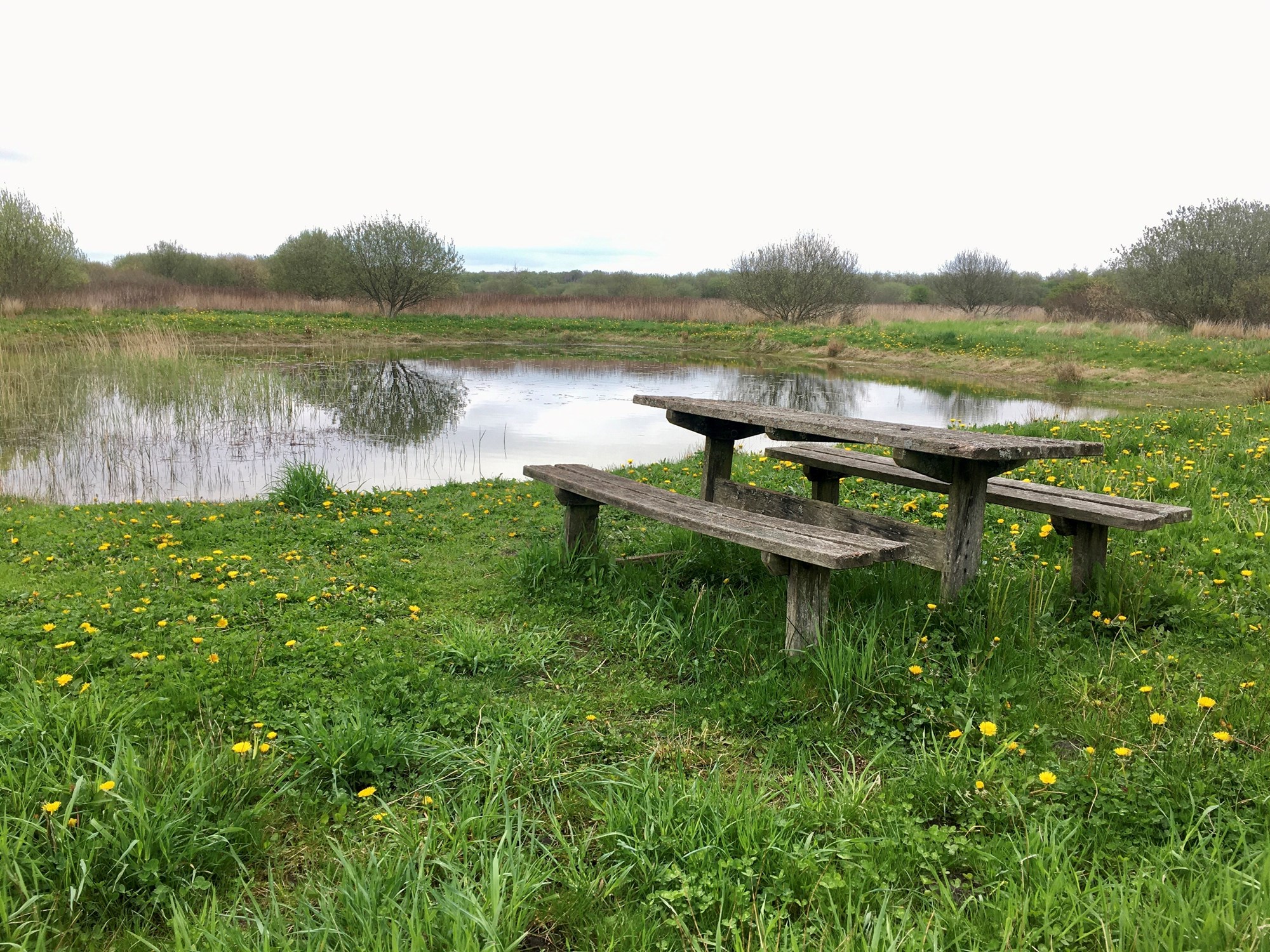 Bænk og bord ved sø