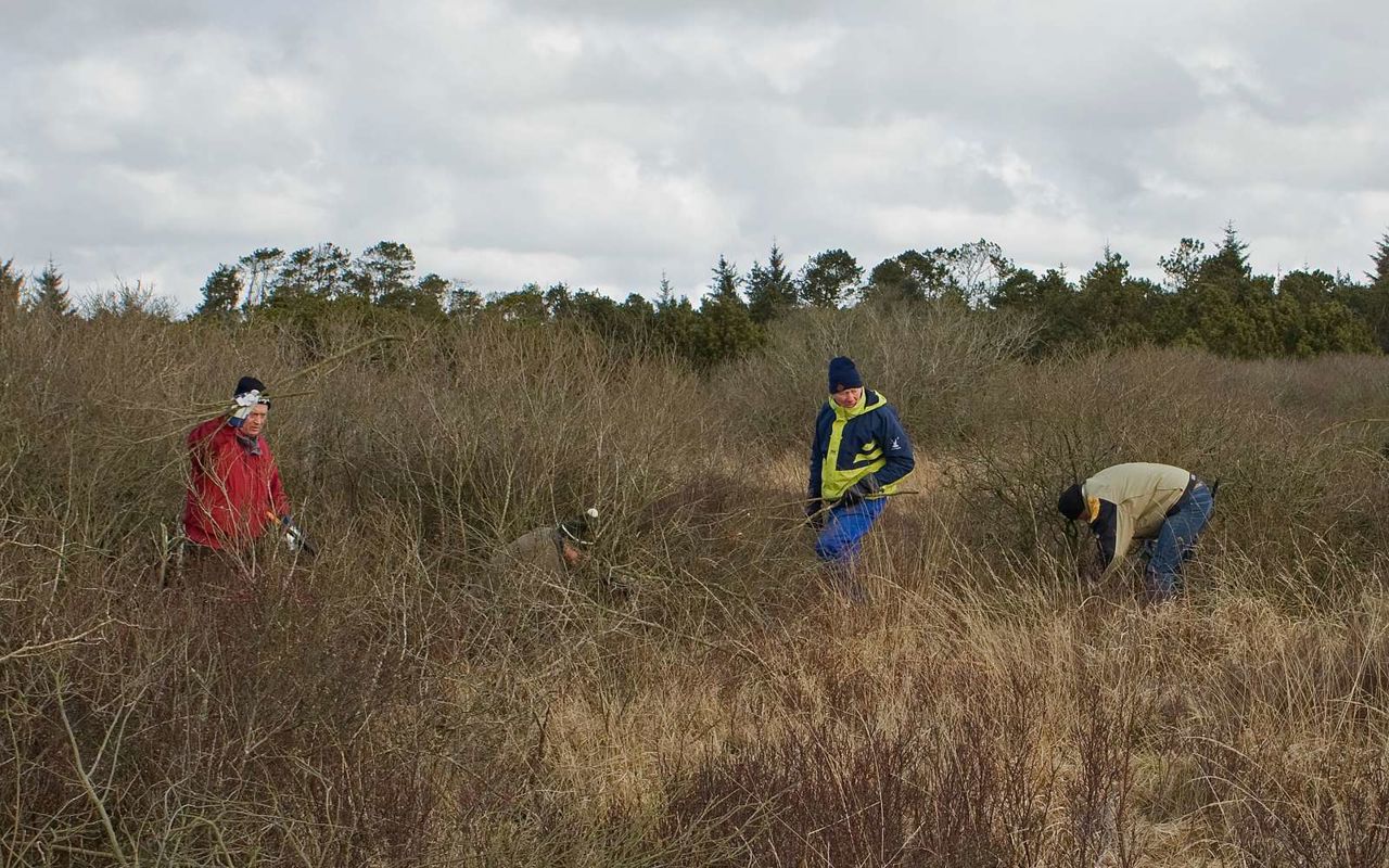 oprydning i naturen