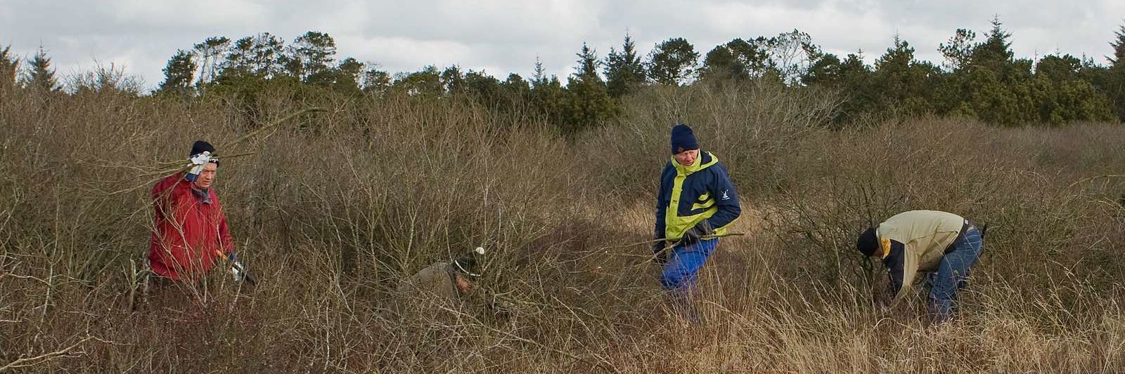 oprydning i naturen