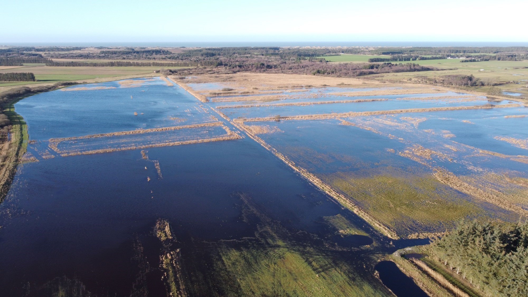 Hellede Sø efter retablering