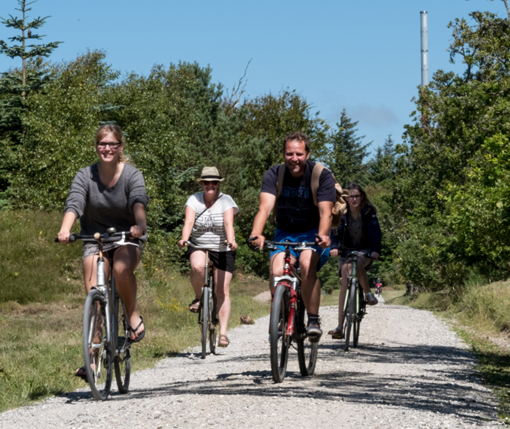 På cykeltur i Hune skov