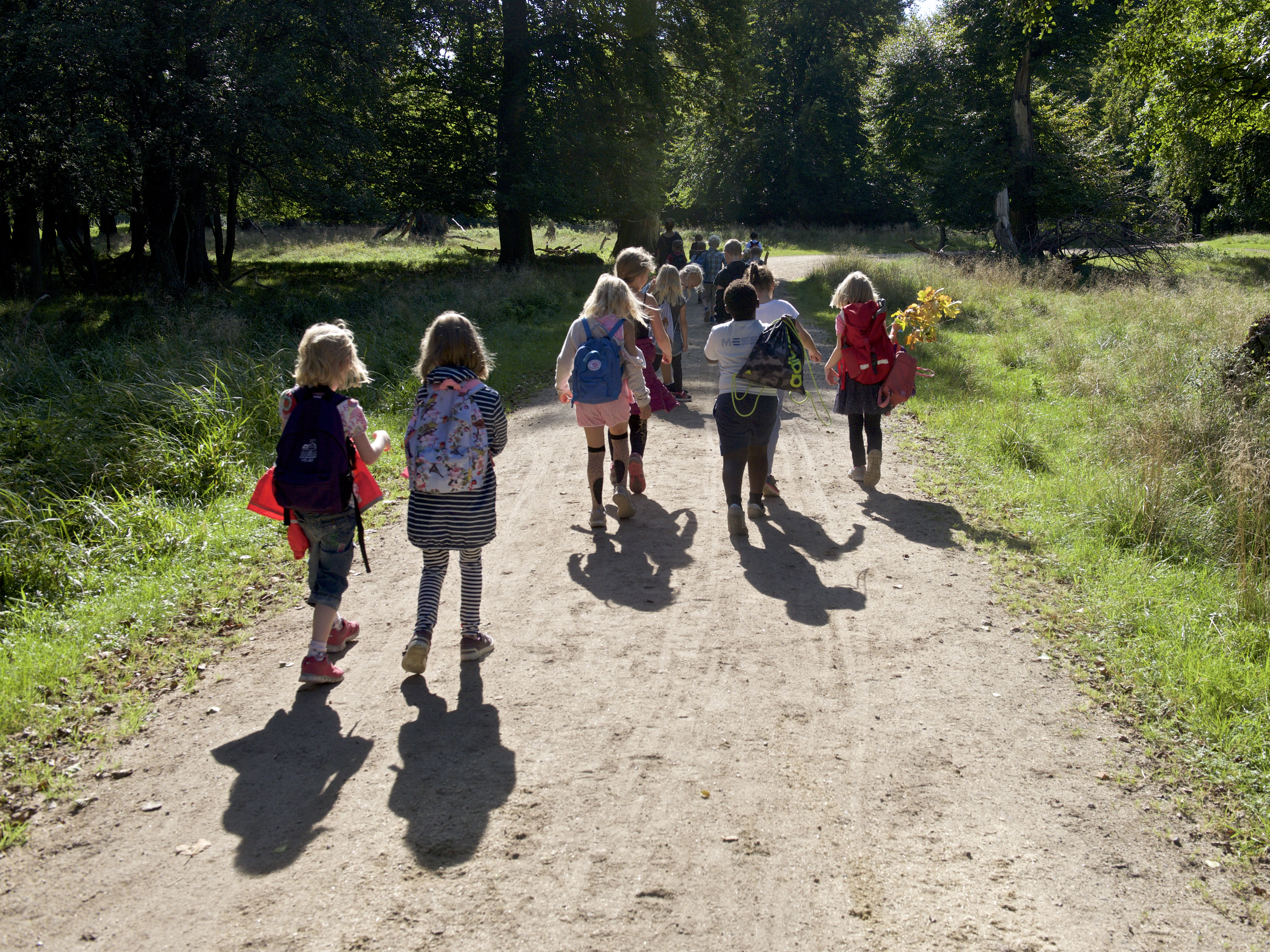 børneflok på skovtur