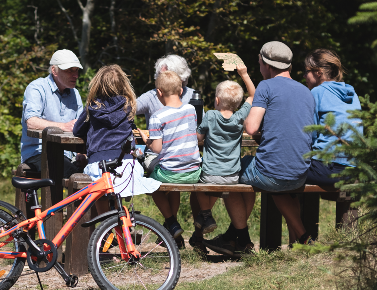 Familie nyder en velfortjent frokost i skoven