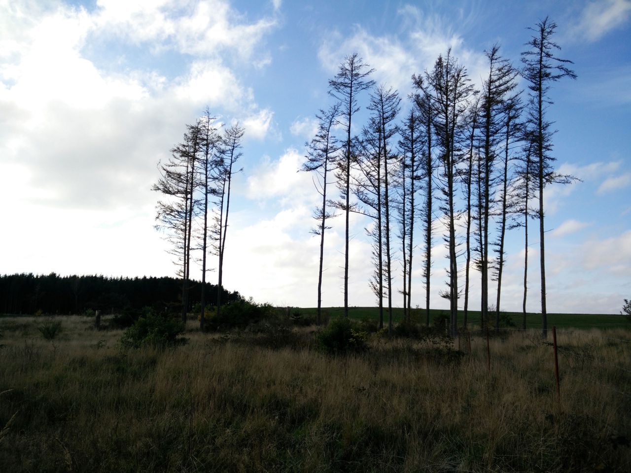 Øland