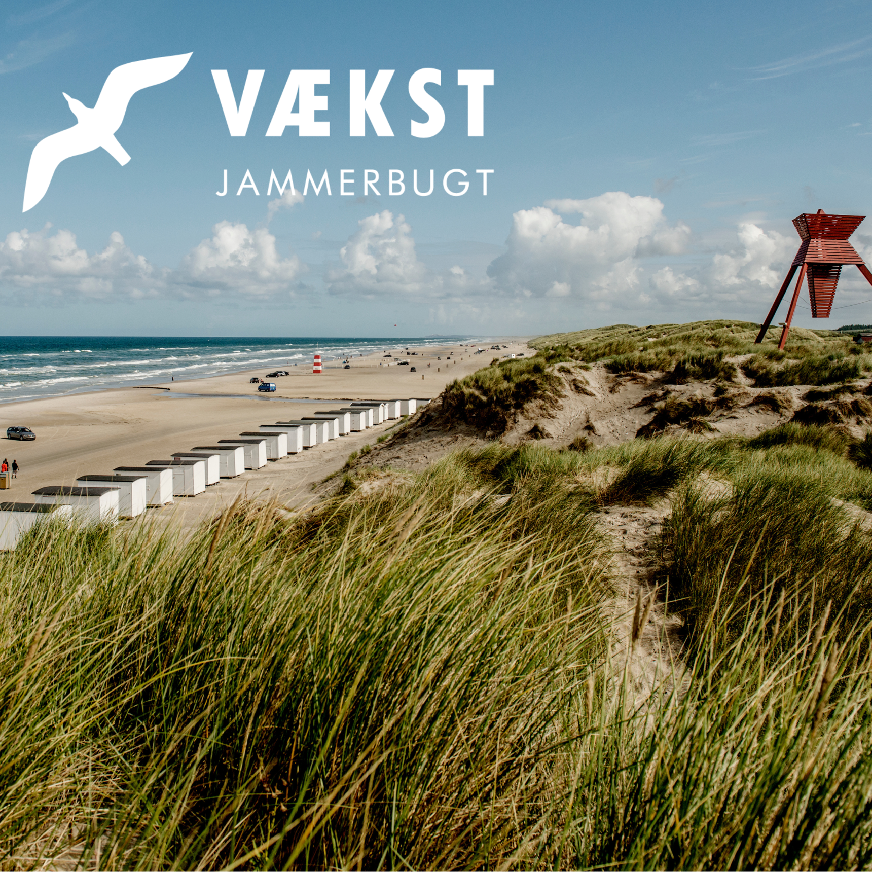 Blokhus strand med grafik for vækst