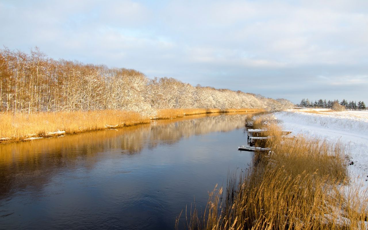 Ryå vinter