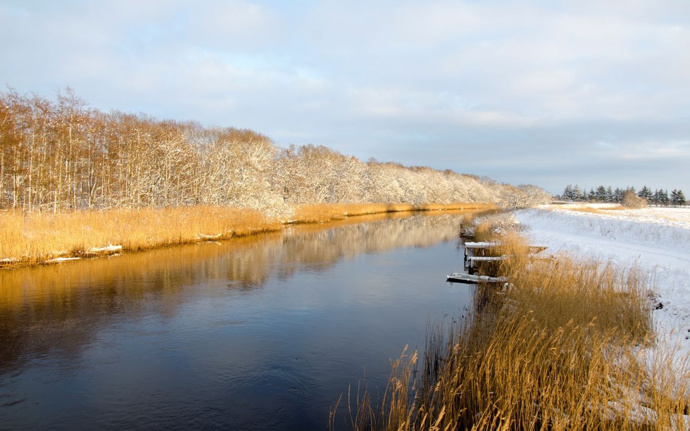 Ryå vinter